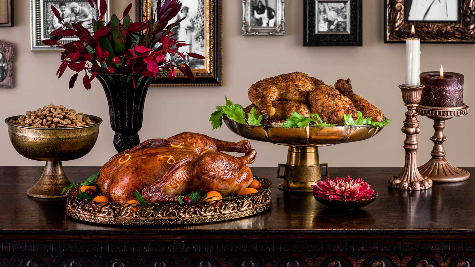 Fromm Family Adult Gold Food for Dogs Fromm Pet Food