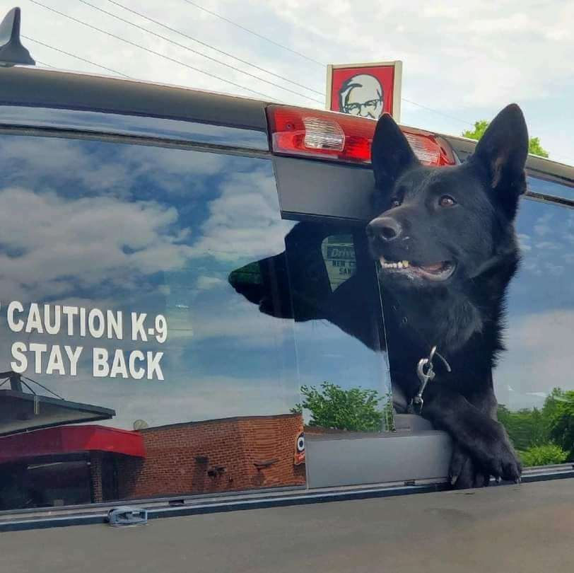 Alt Text