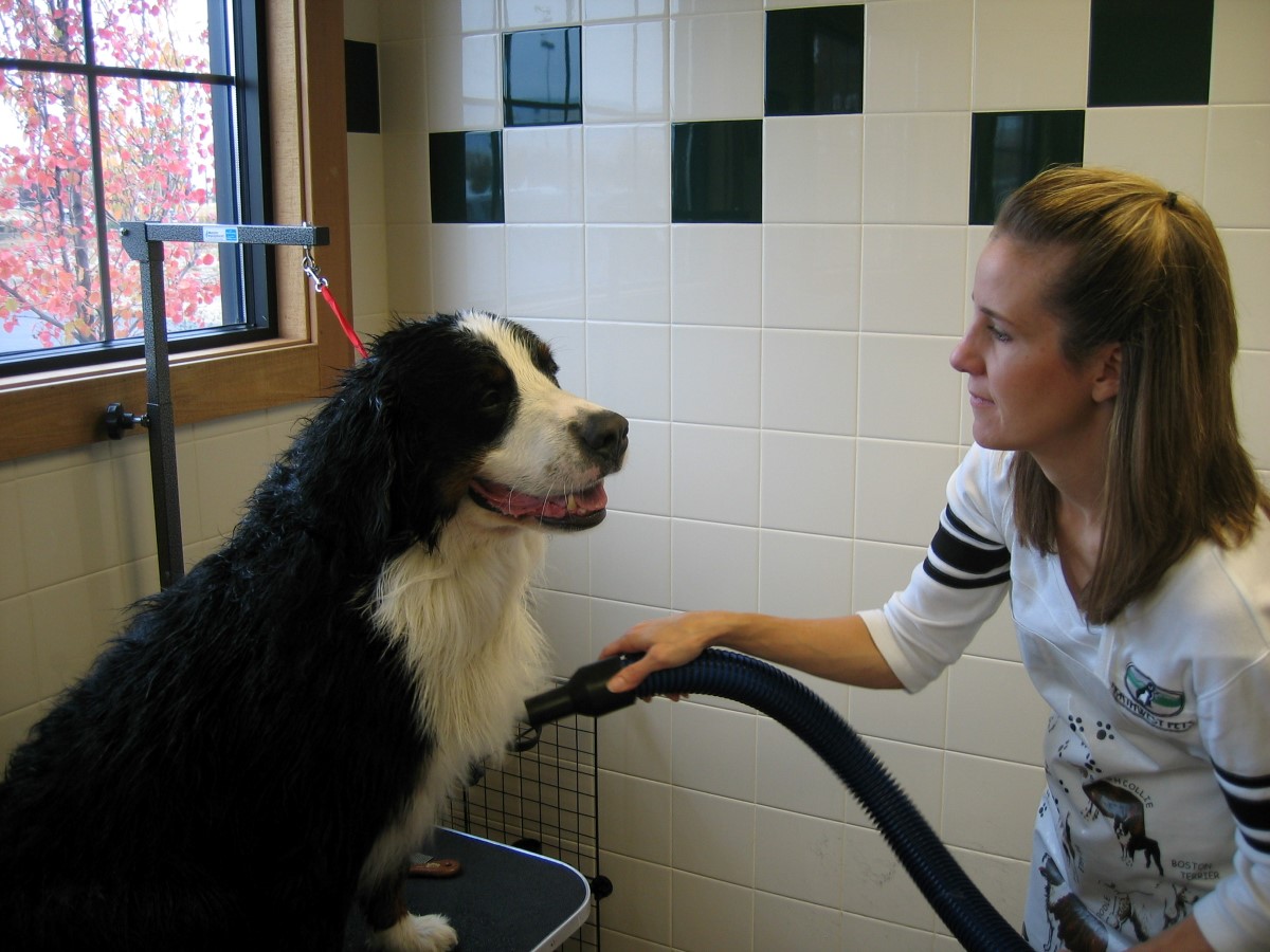 Northwest Pets Eagle, ID Pet Supplies