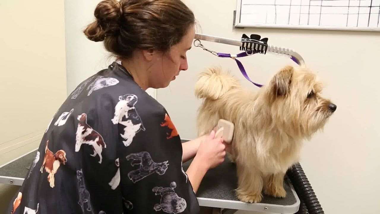 Alt Text