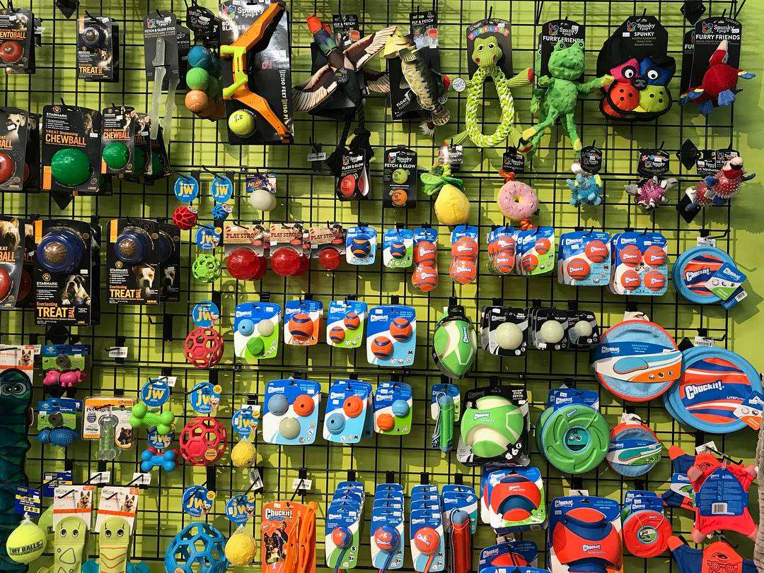 IB Pet Chula Vista, CA Pet Supplies