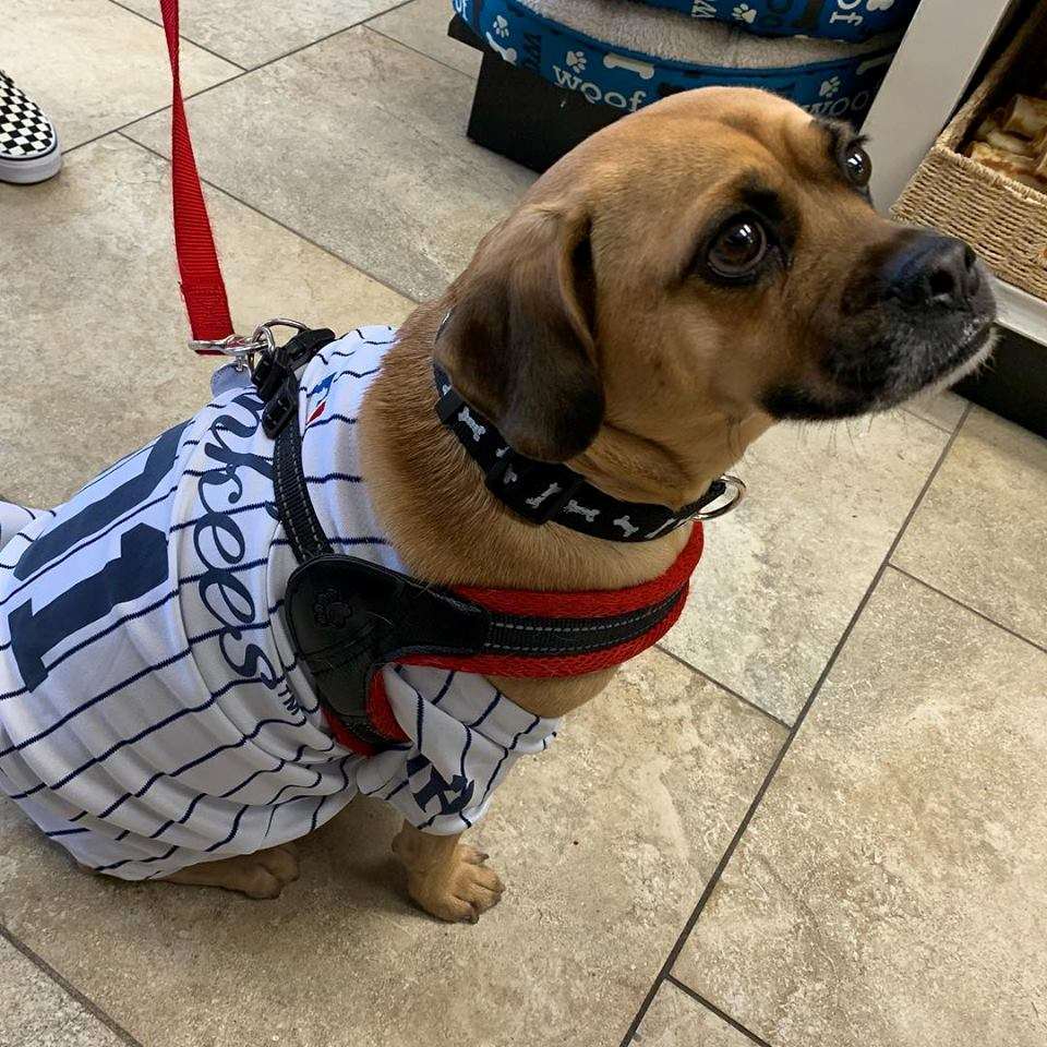 Pet Oasis Matawan, NJ Pet Supplies