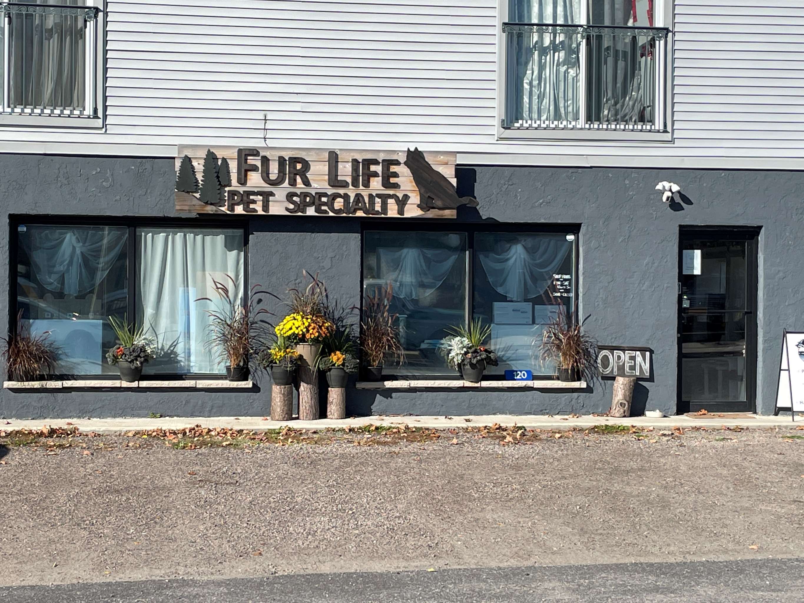 Alt Text