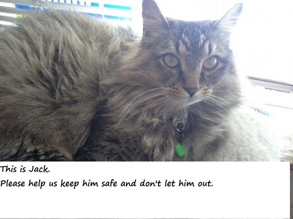 Alt Text