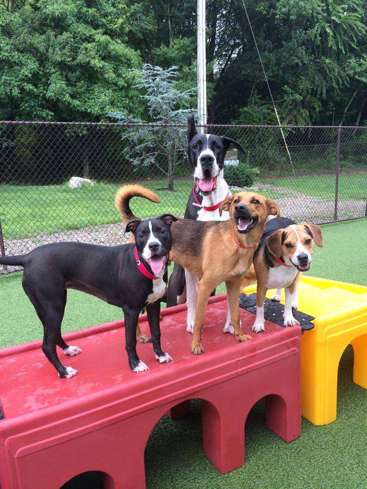 Alt Text