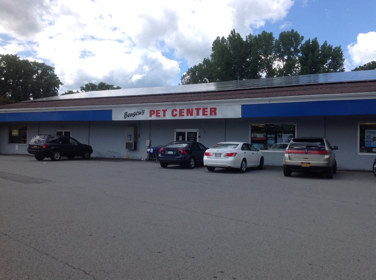 Benson's Pet Center Clifton Park, NY Pet Supplies