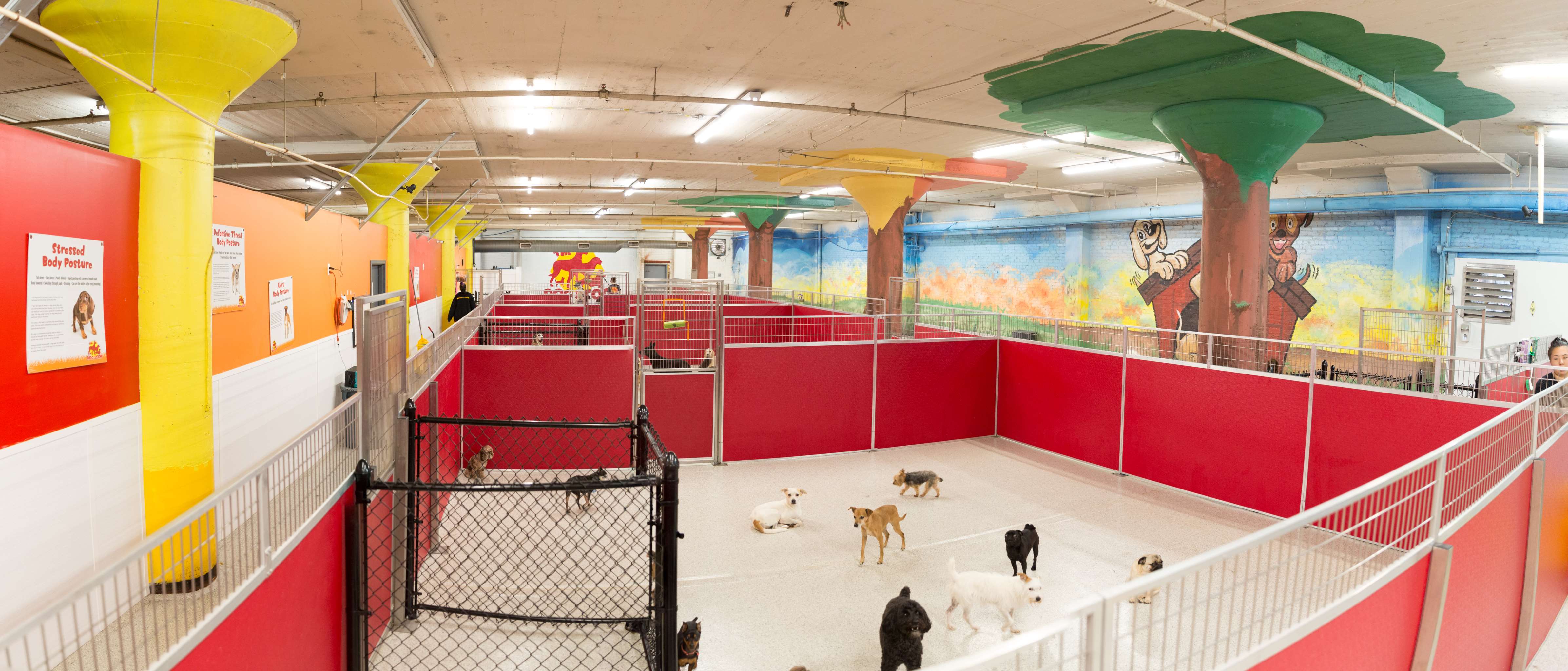 The Dog Stop Pittsburgh, PA Pet Supplies