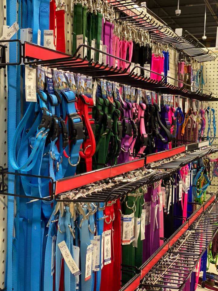 pet stores in bridgeport wv neislermallegni