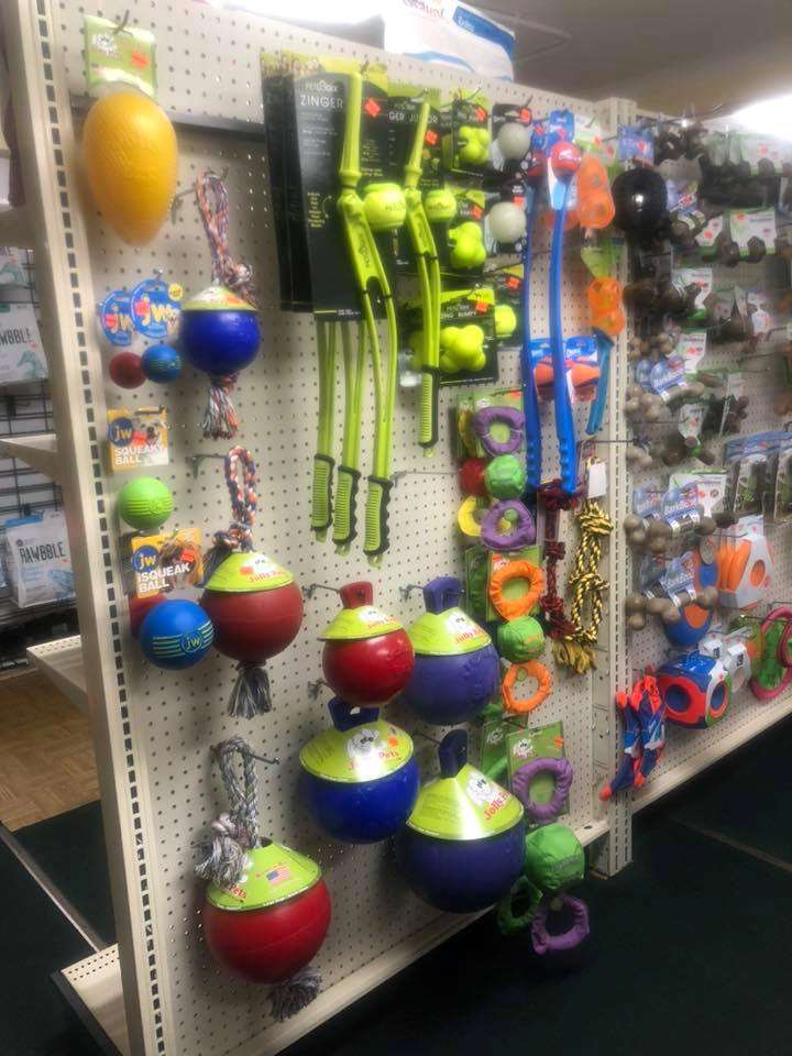 Alt Text