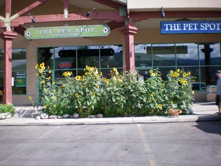 The Pet Spot Edwards, CO Pet Supplies