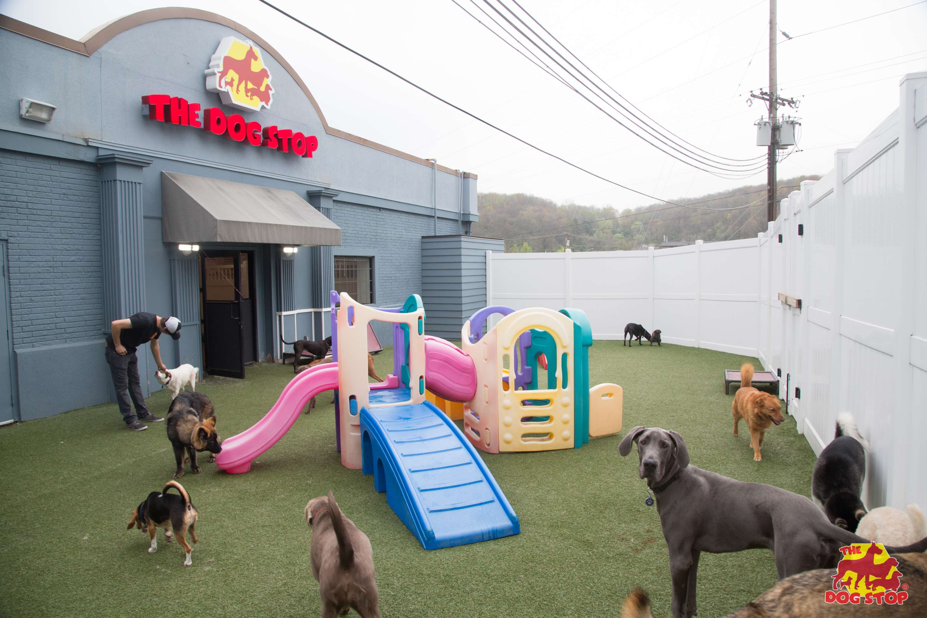 The Dog Stop Wexford, PA Pet Supplies