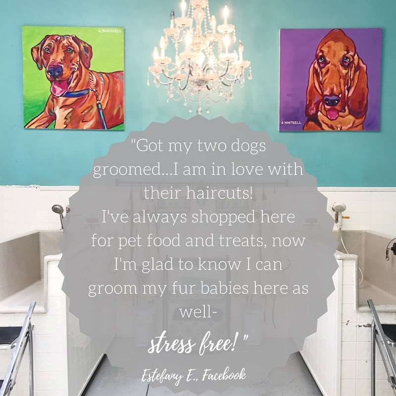 health mutt grooming