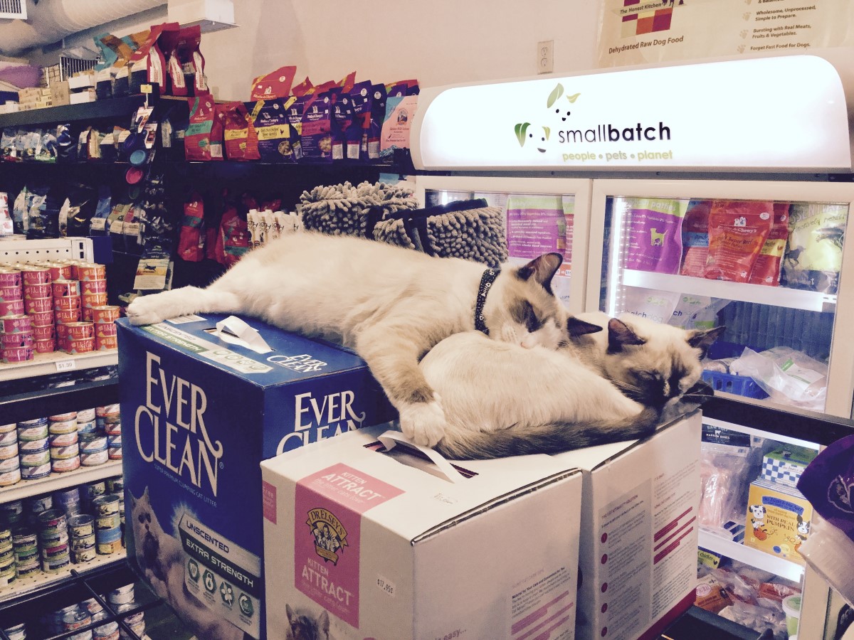 Felton Feed and Pet Supply Felton, CA Pet Supplies