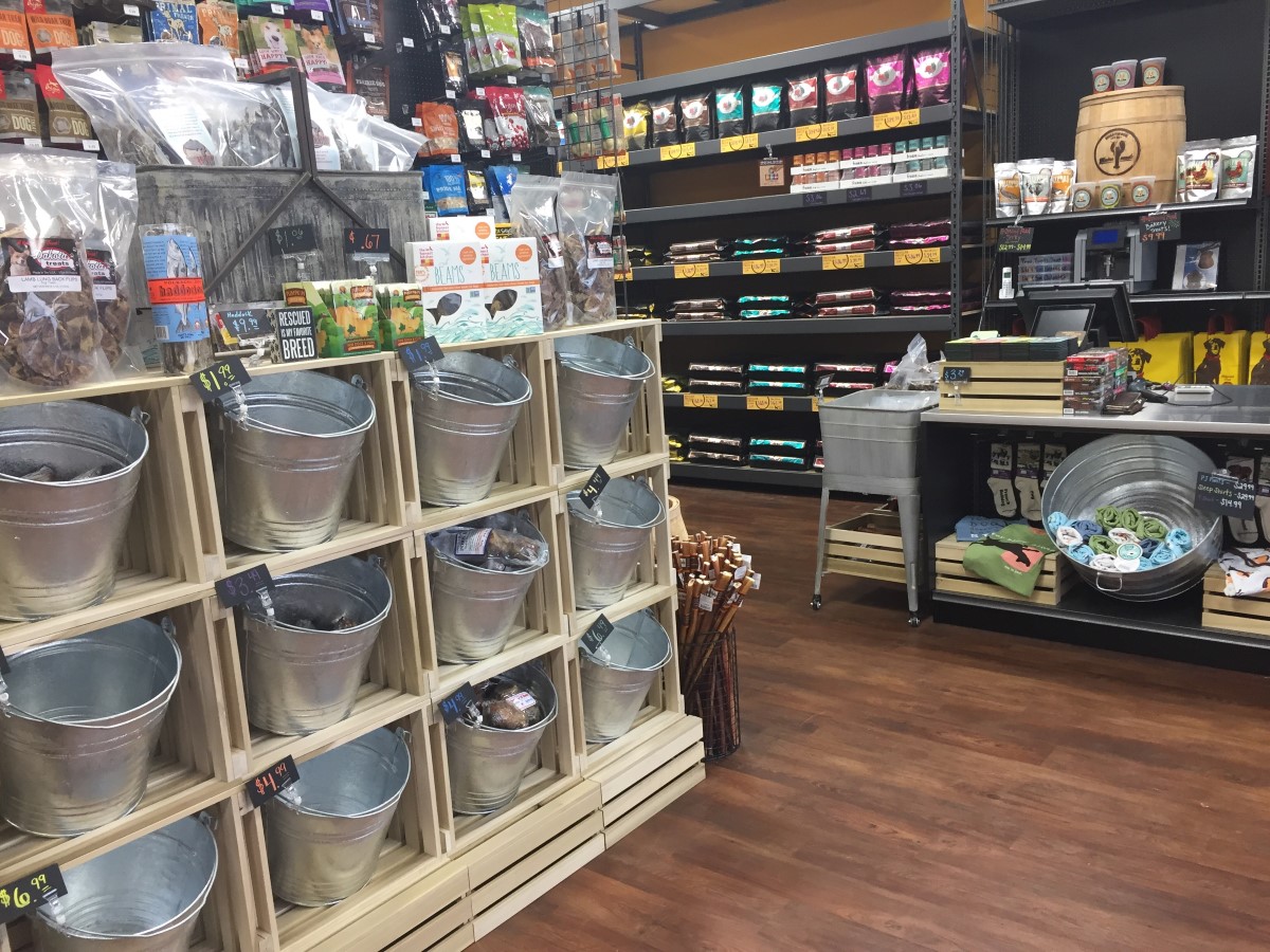 hollywood feed fromm