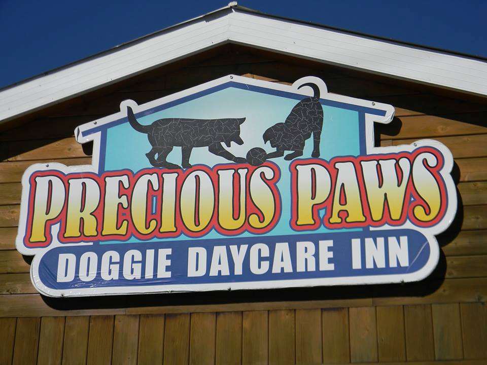 Precious Paws Doggie Daycare Inn North Bay, ON Pet Supplies