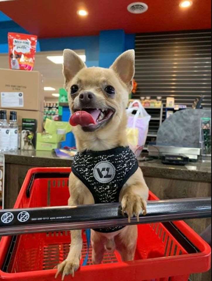 Pet Supplies Plus - Webster, NY - Pet Supplies