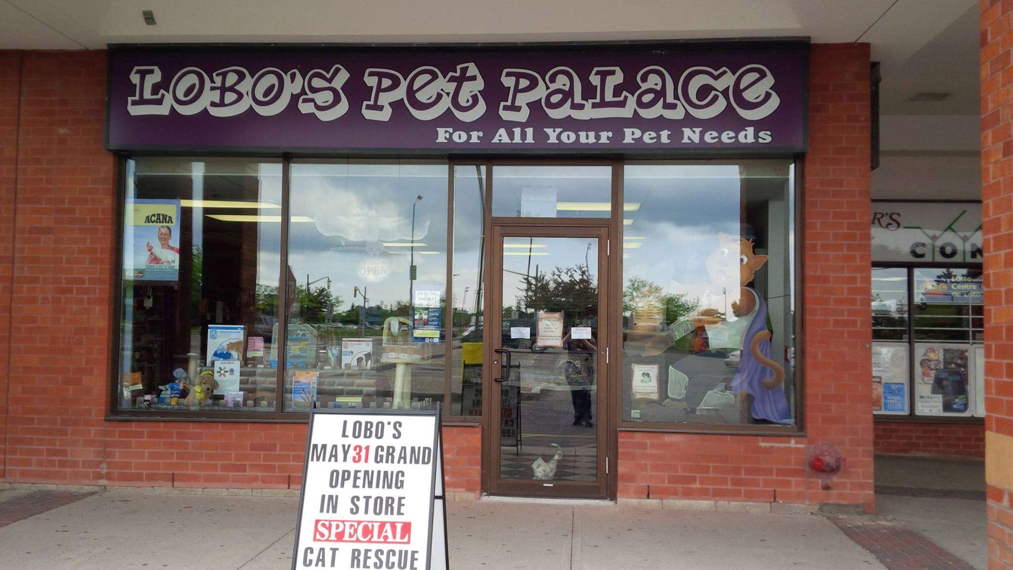 Alt Text