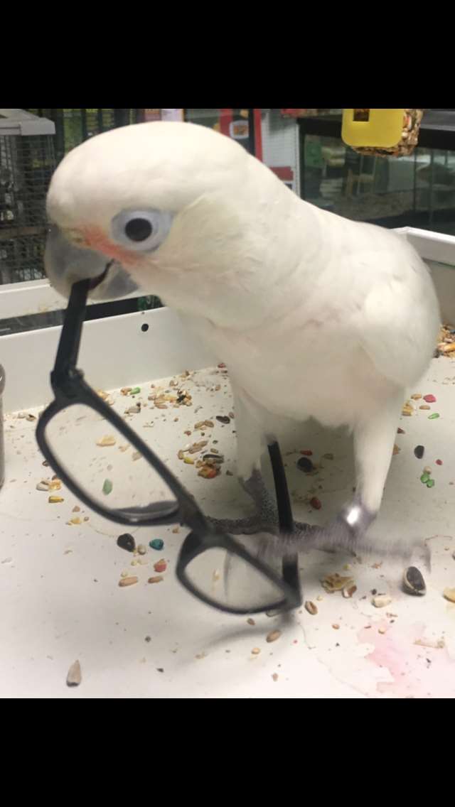 Exotic Jungle Pet Superstore Morgantown Wv Pet Supplies