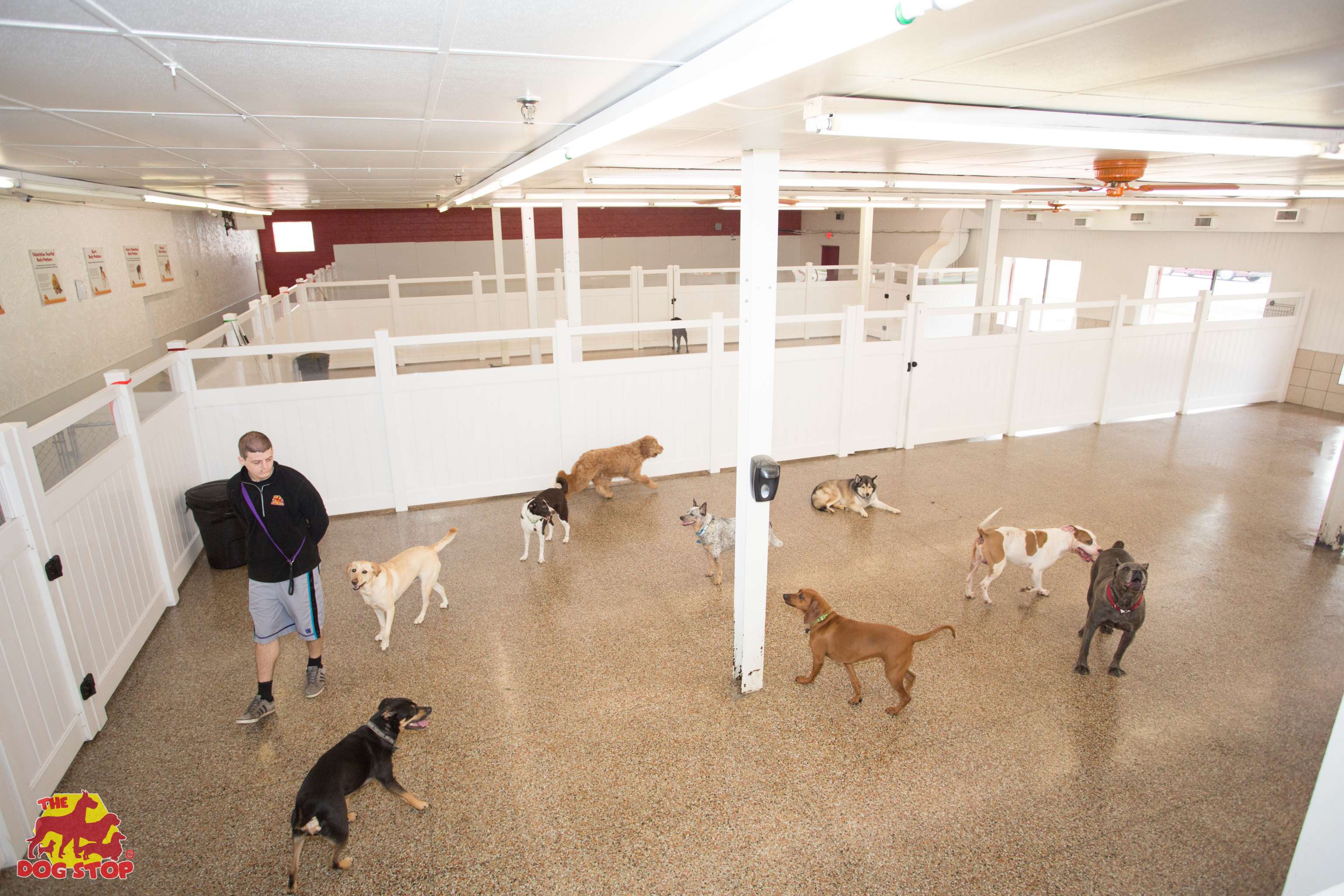 The Dog Stop Monroeville, PA Pet Supplies