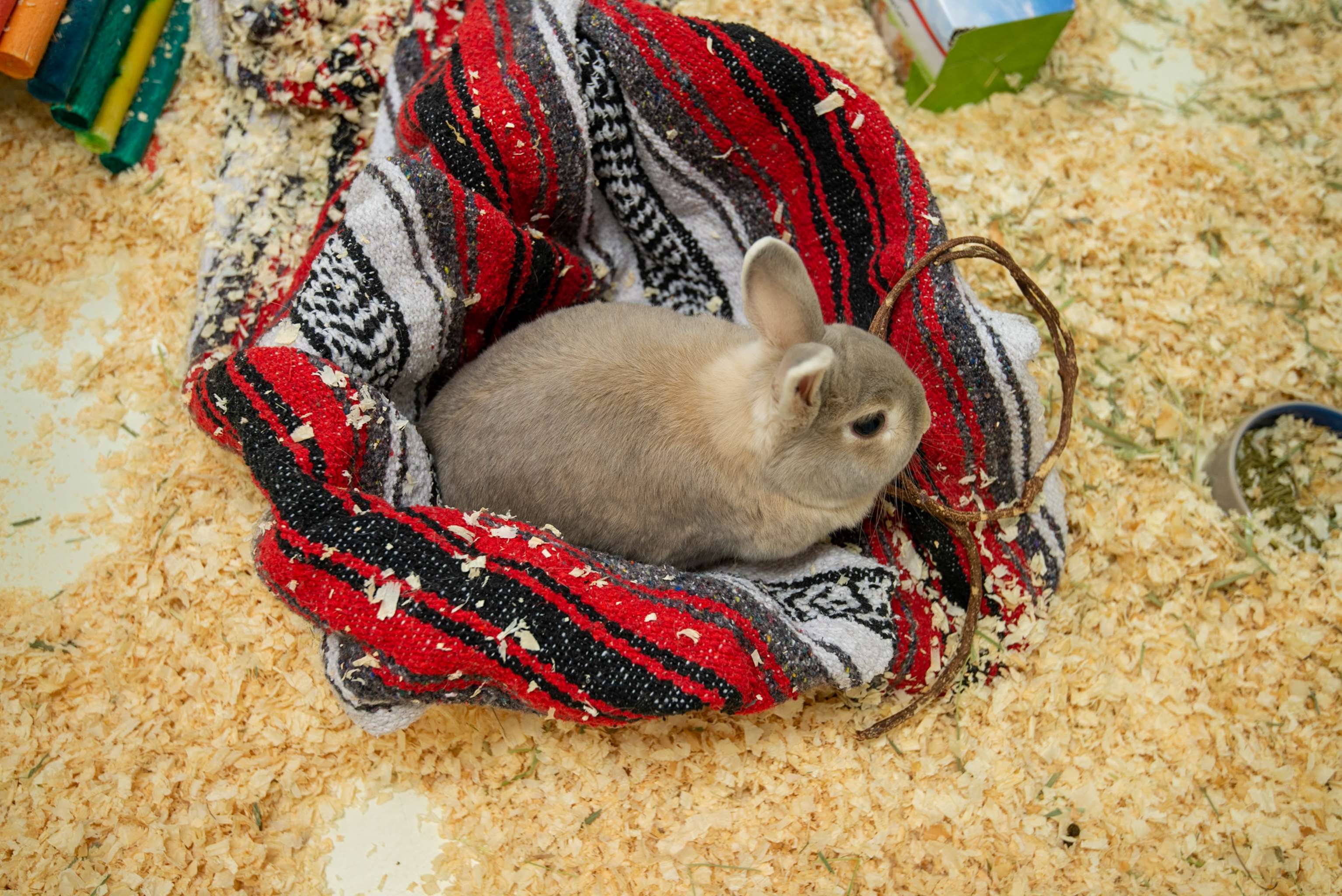 Benson's Pet Center Clifton Park, NY Pet Supplies