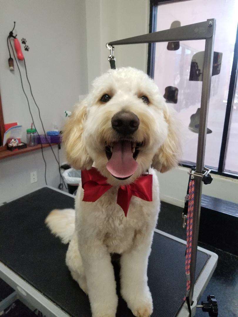 Better Life Pet Foods Las Cruces, NM Pet Supplies