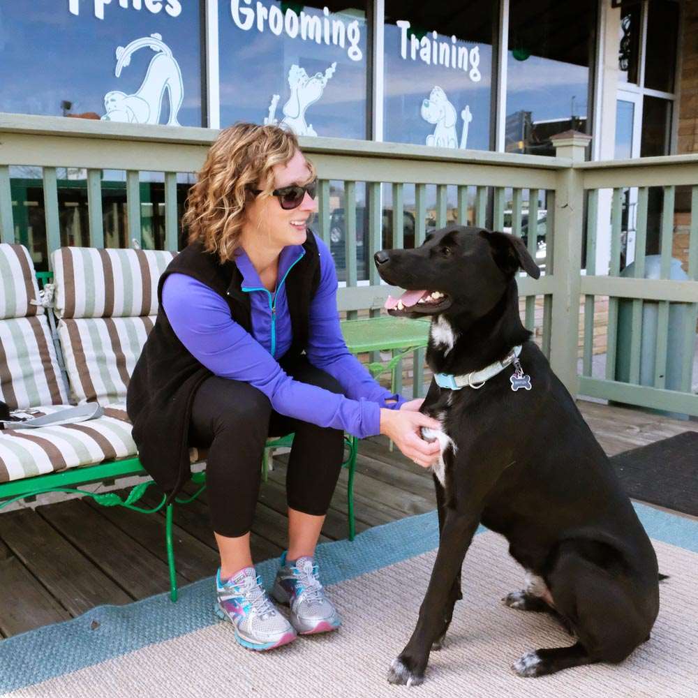 Alt Text