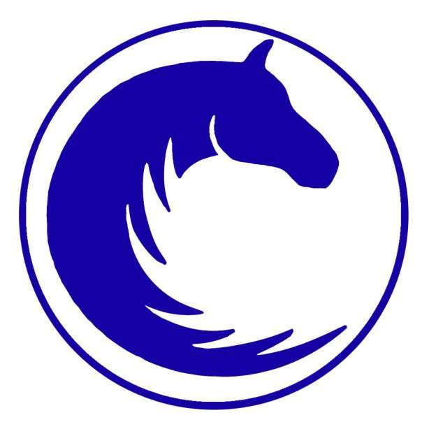 Alt Text