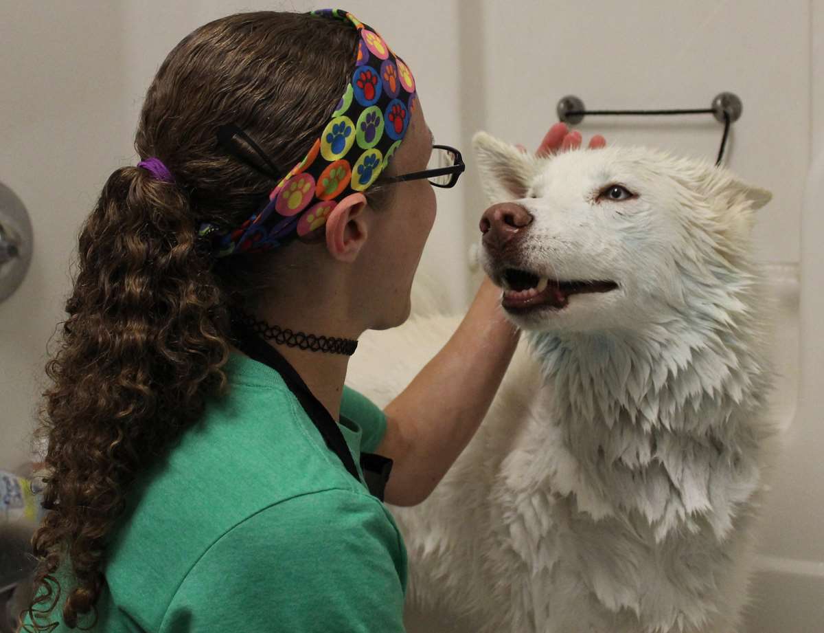 The Feed Bag Pet Supply Mequon, WI Pet Supplies
