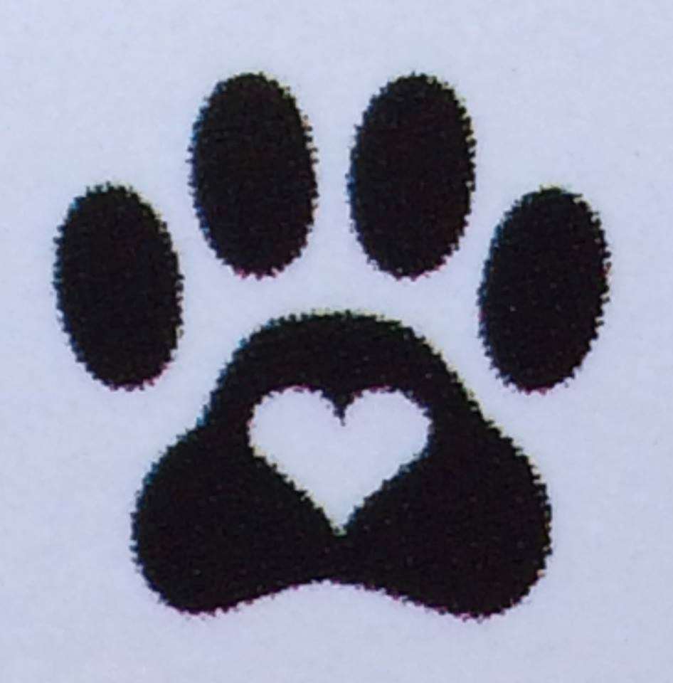 cheap urinary cat food