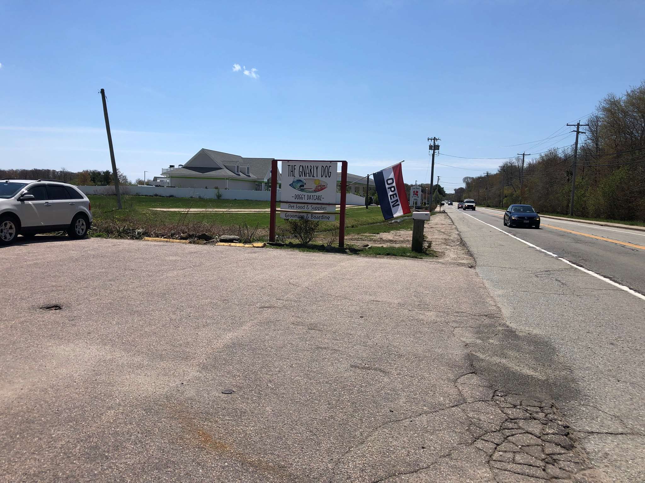 The Gnarly Dog Doggy Daycare Narragansett, RI Pet Supplies