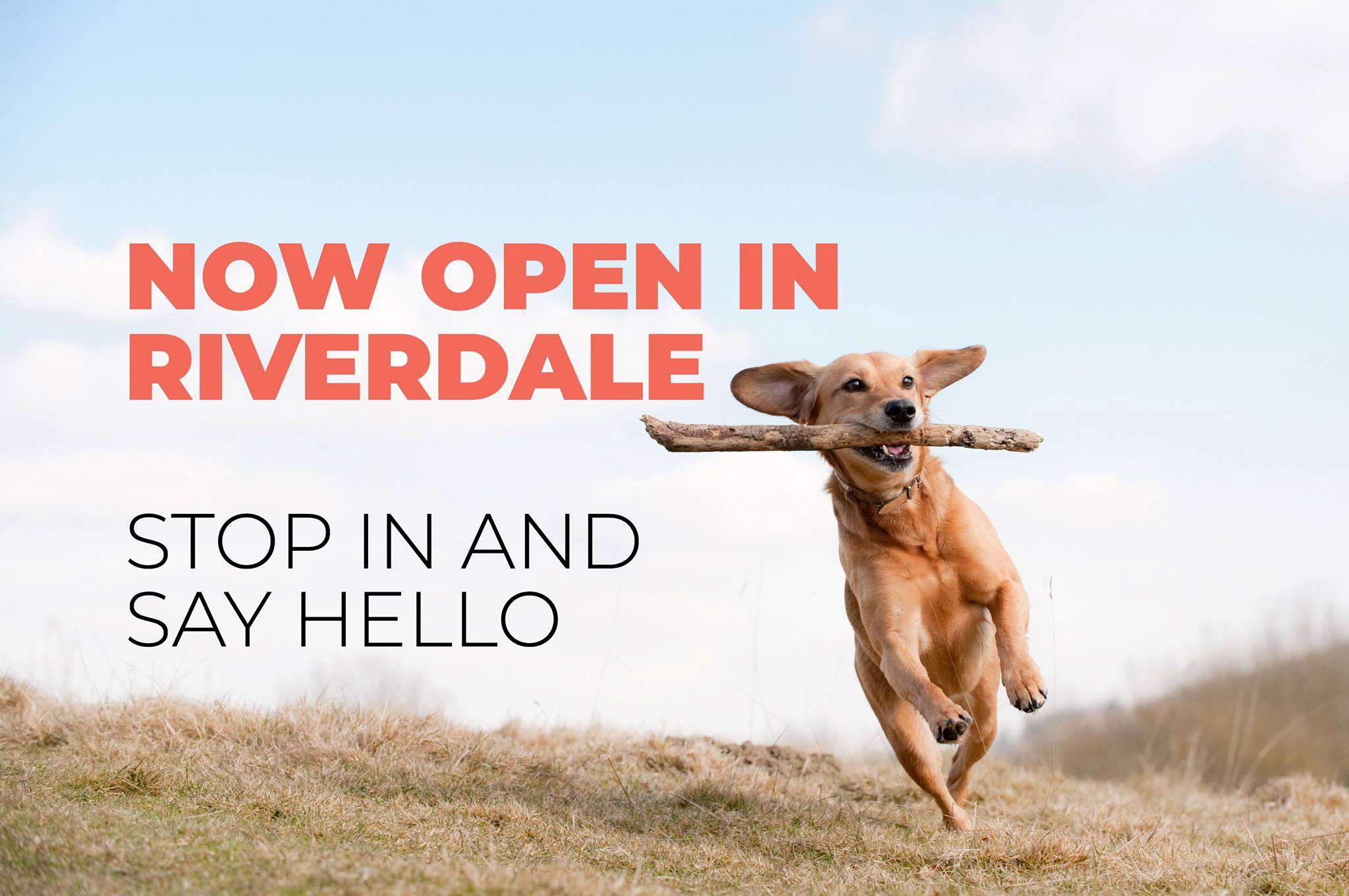 Knick Knack Paddywhack Toronto, ON Pet Supplies