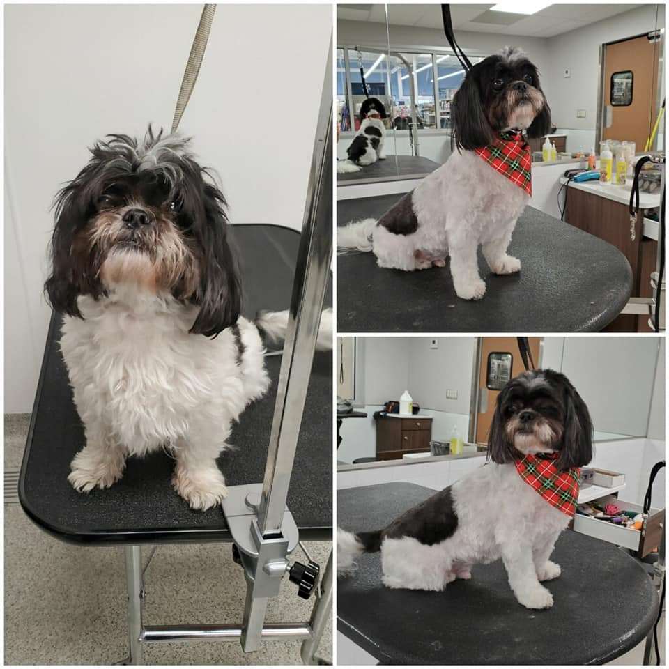 Petsense Beverly Hills, FL Pet Supplies