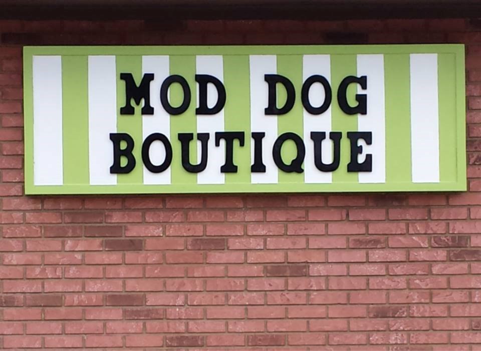 mod dog tallahassee fl pet supplies mod dog tallahassee fl pet supplies
