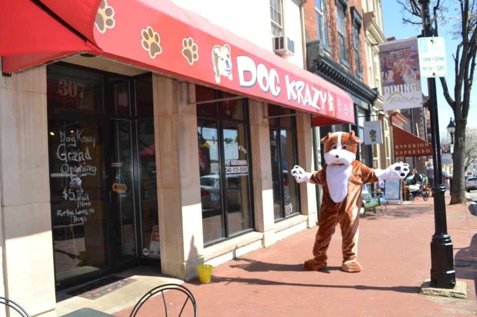 dog krazy downtown fredericksburg va pet supplies dog krazy downtown fredericksburg va pet supplies