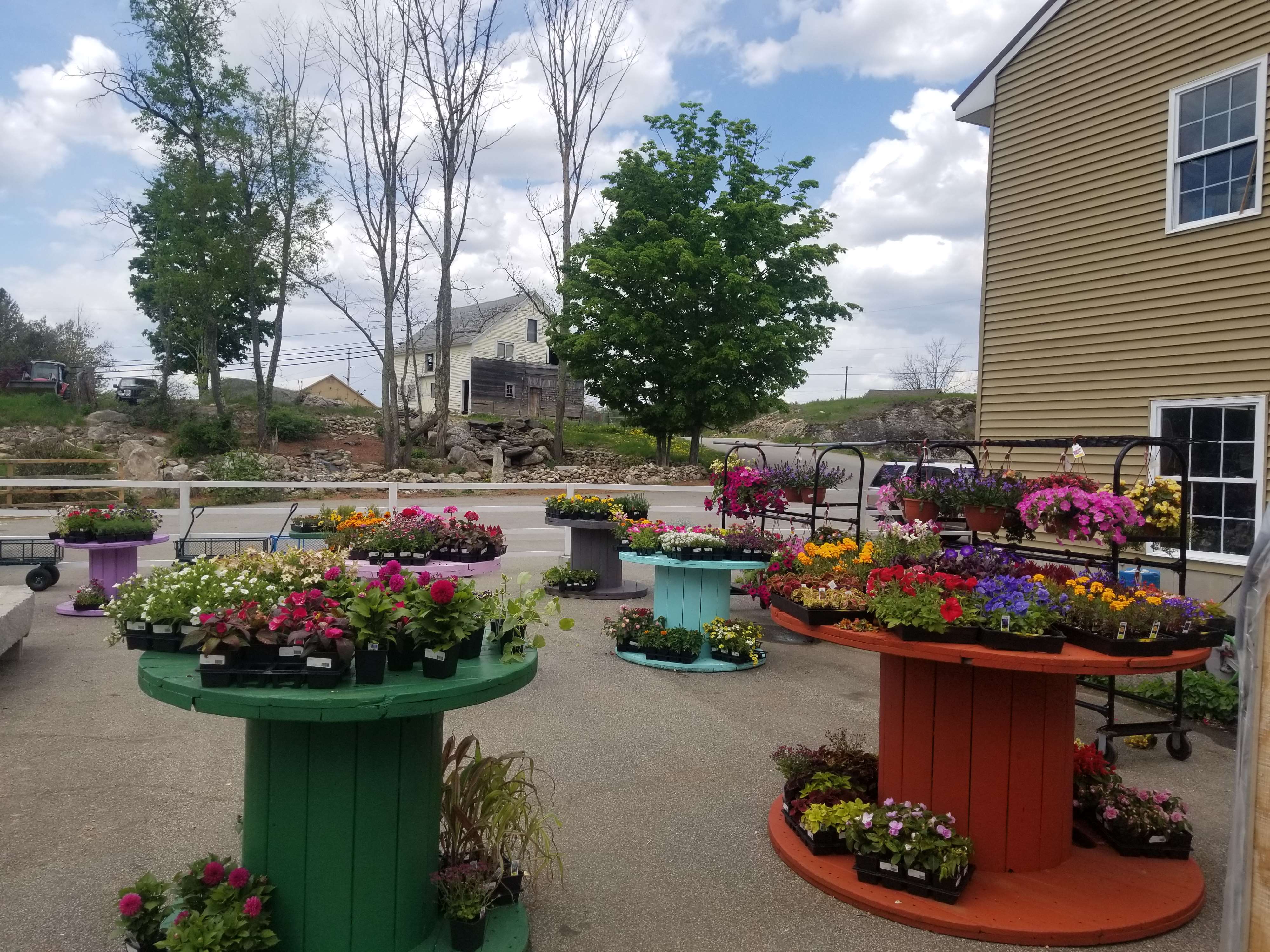 Deerfield Pet & Feed Deerfield, NH Pet Supplies