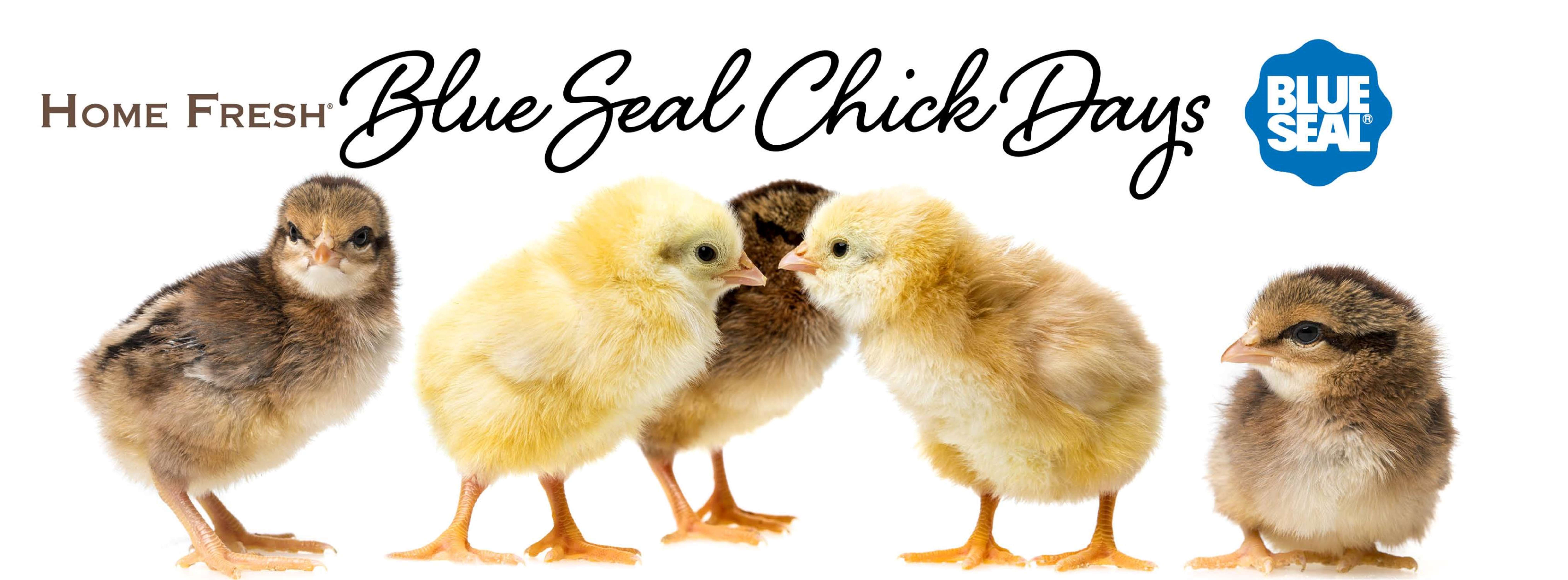 Blue Seal Feeds Fishkill, NY Pet Supplies