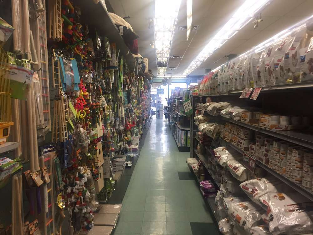 Whole Pets Market Brooklyn, NY Pet Supplies