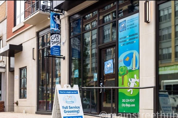 City Dogs Washington, DC Pet Supplies