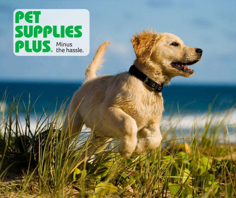 Pet Supplies Plus North Port, FL Pet Supplies