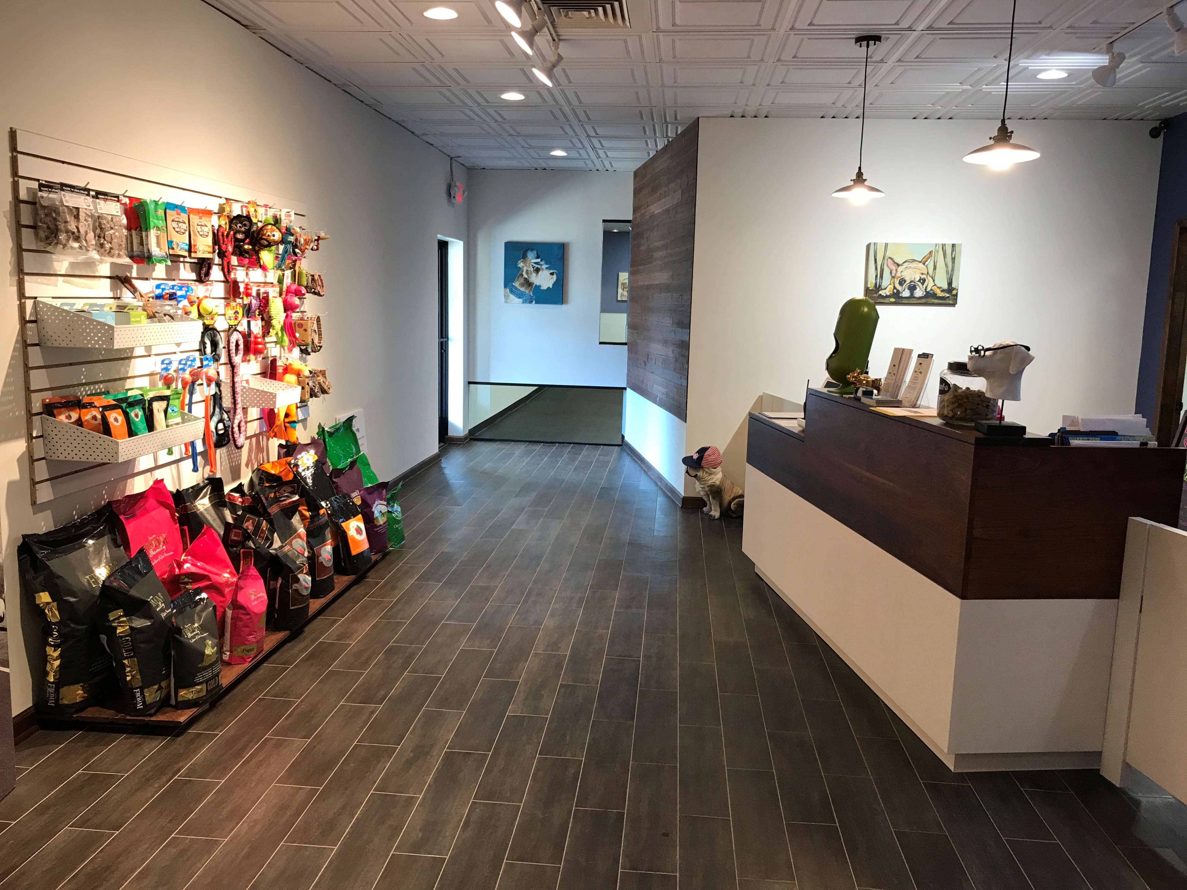 UniFURsity Club Doggy Daycare Milwaukee, WI Pet Supplies