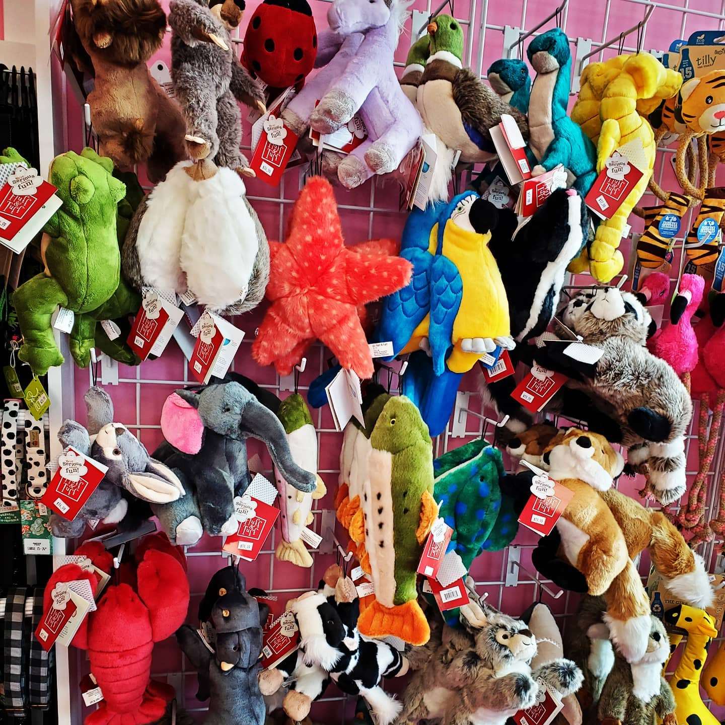 Woof Gang Bakery Wesley Chapel Lutz, FL Pet Supplies