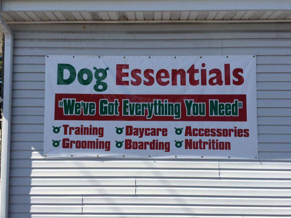 Dog Essentials Schenectady, NY Pet Supplies
