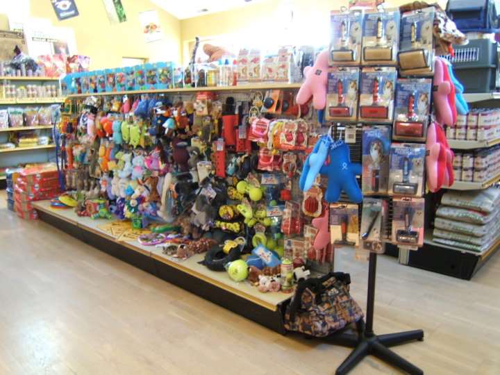 Unleash Your Pup's Taste Buds Top 10 Dog Foods in Woodbury CT! Furry