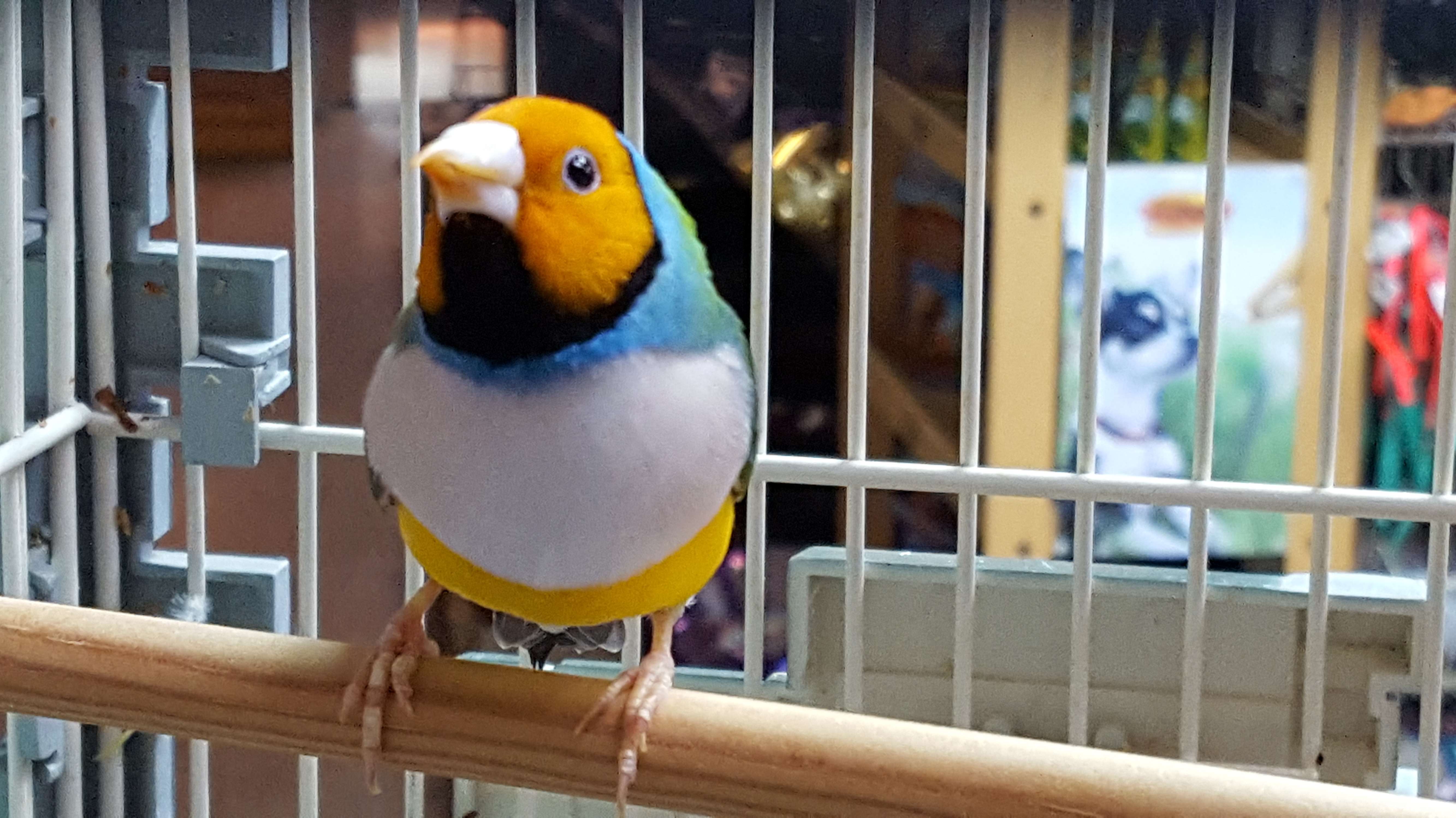 Zoo Pet Center Peekskill, NY Pet Supplies