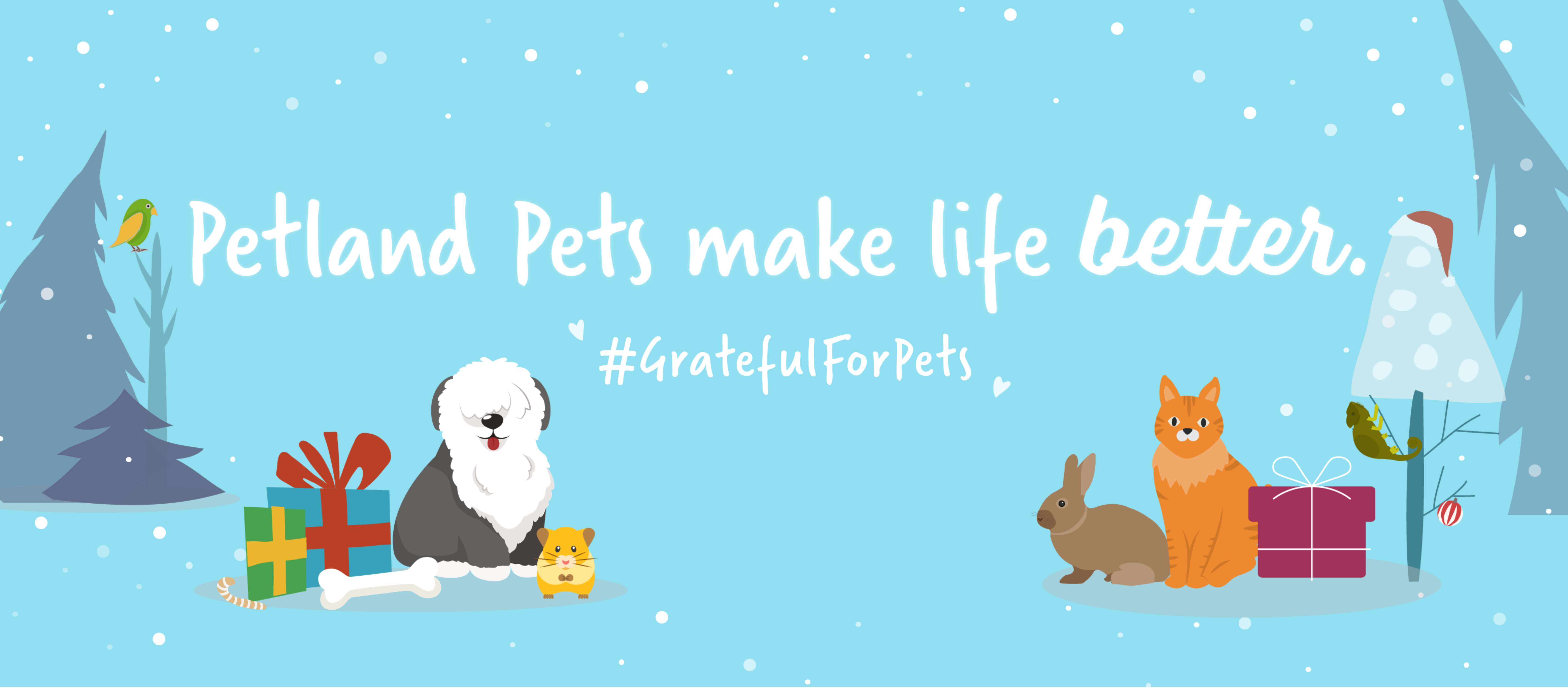 Petland Dayton, OH Pet Supplies