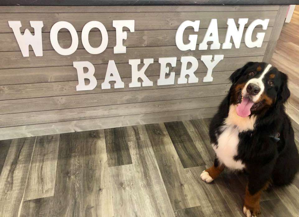 Woof Gang Bakery & Grooming Cocoa Beach, FL Pet Supplies