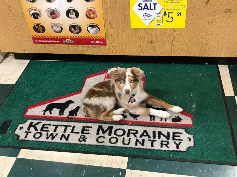 Kettle Moraine Town & Country Kewaskum, WI Pet Supplies