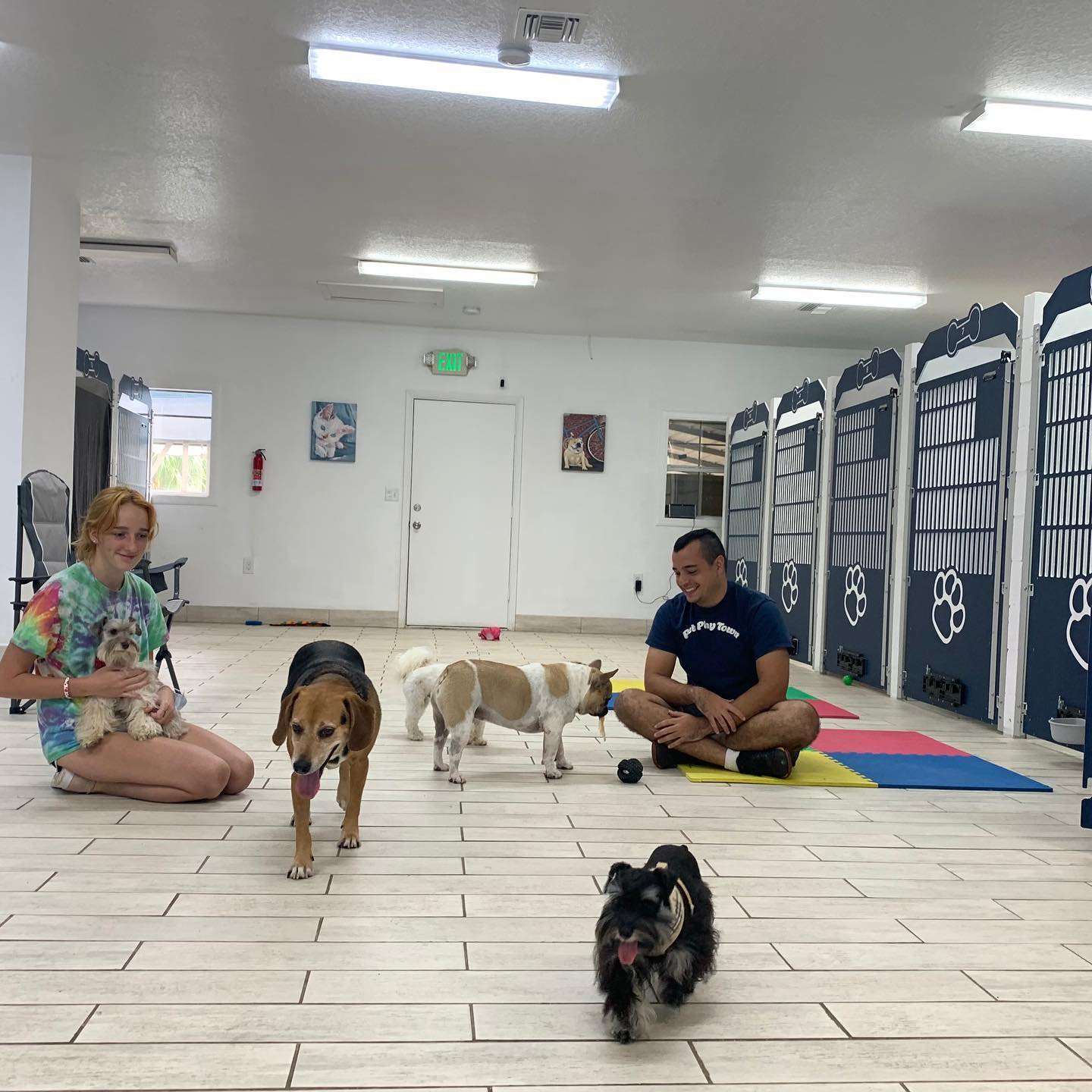 Pet Play Town Maitland, FL Pet Supplies