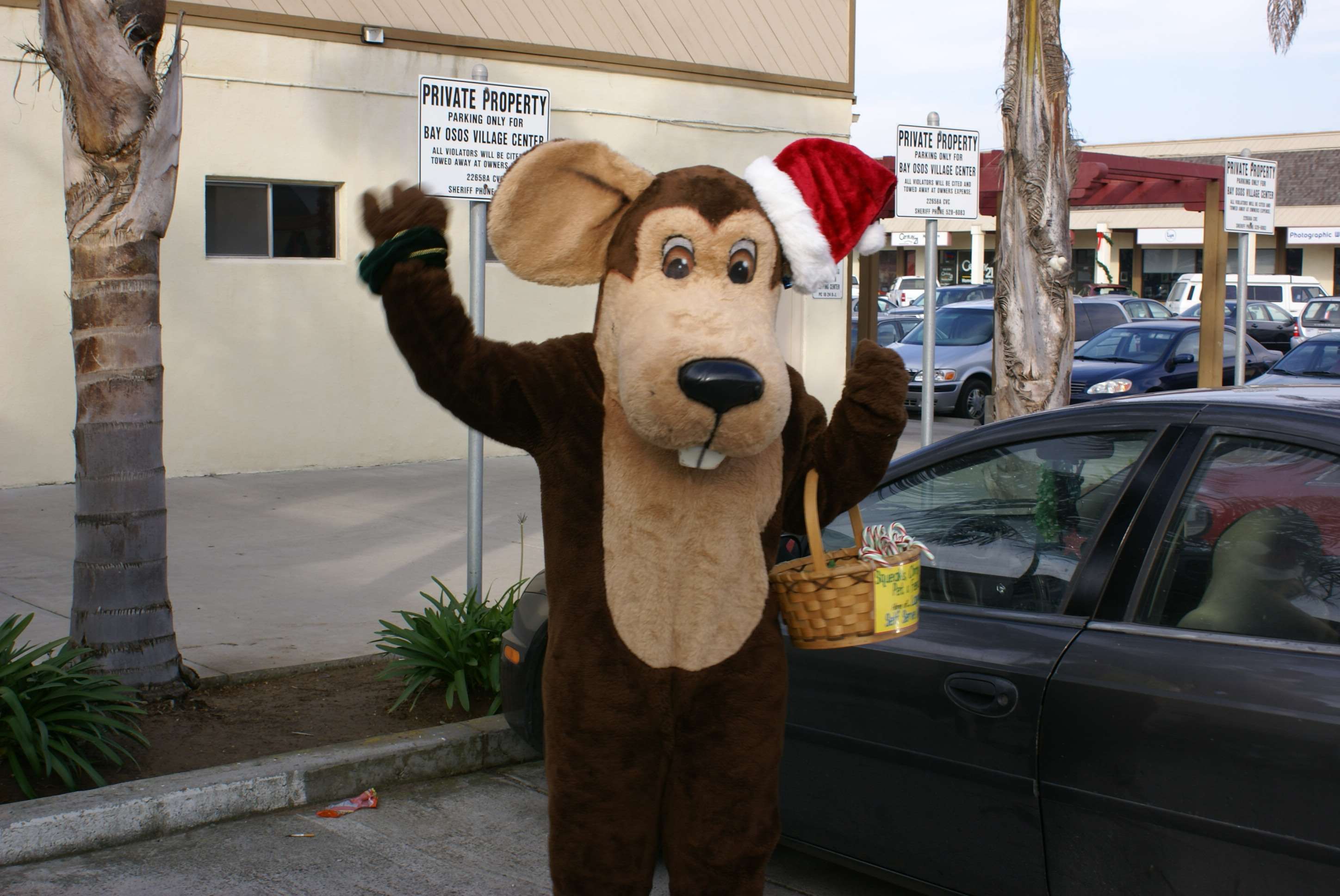 Squeaks Chirps & Bubbles Pet & Feed Store Los Osos, CA Pet Supplies