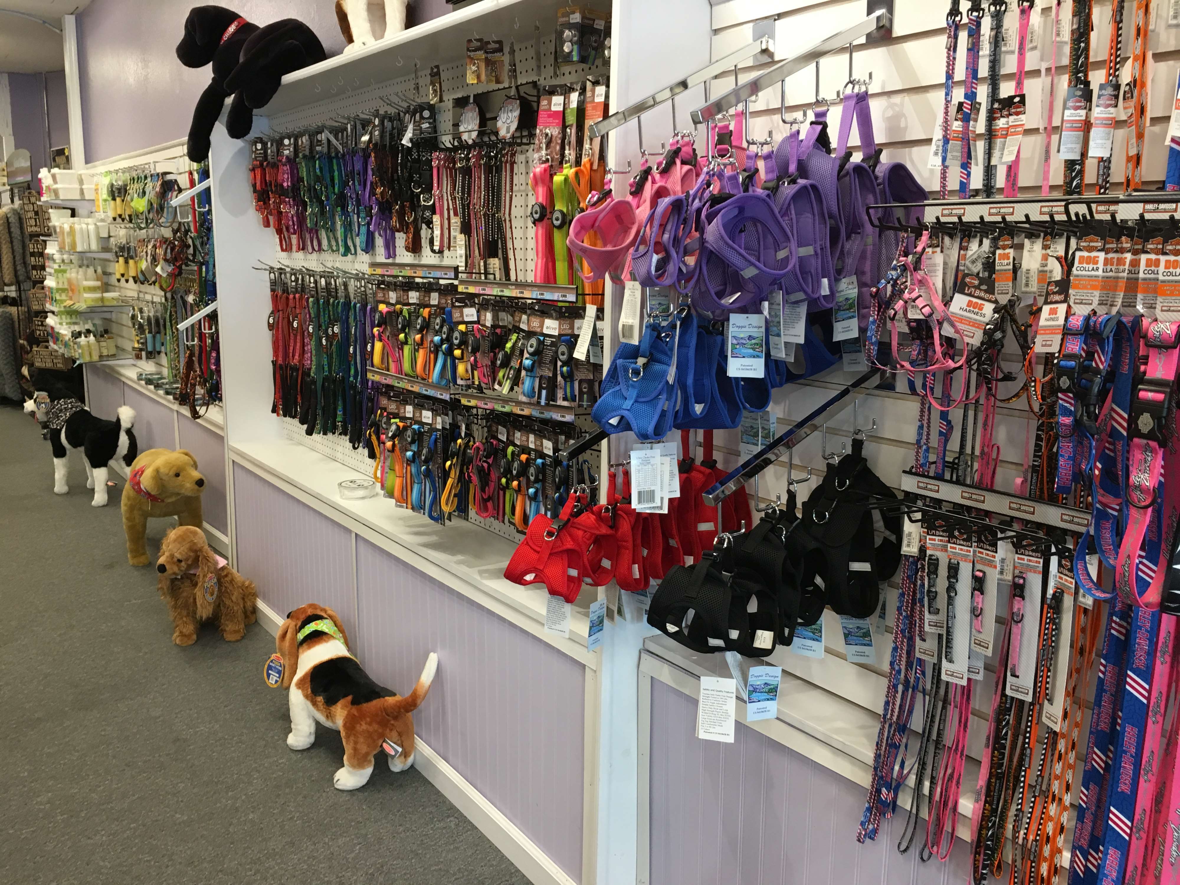 Karen's Canine Kitchen and Pawtique Leesburg, FL Pet Supplies